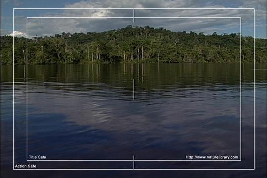 Product picture Royalty Free Stock Footage: Venezuela: NL00435