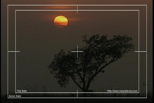 Product picture Royalty Free Stock Footage : Venezuela : NL00467