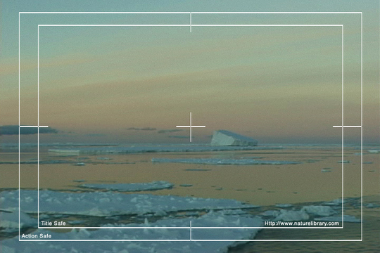 Product picture Royalty Free Stock Footage: Antarctica: NL00511