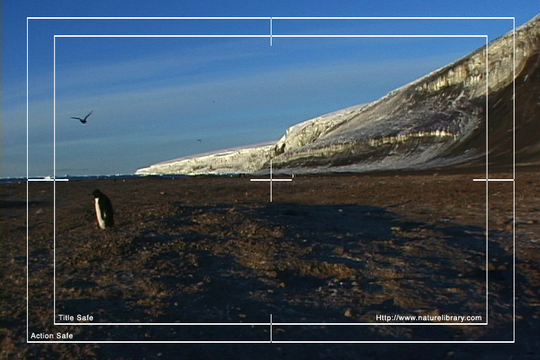 Product picture Royalty Free Stock Footage: Antarctica: NL00527