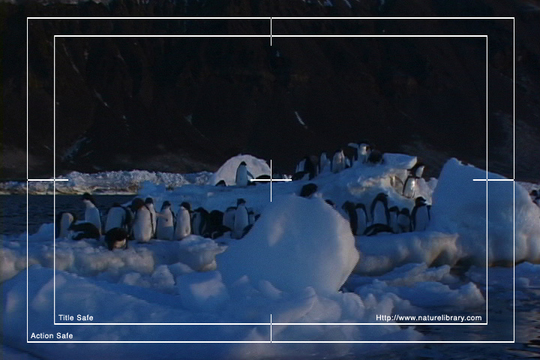 Product picture Royalty Free Stock Footage: Antarctica: NL00531