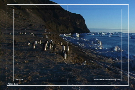 Product picture Royalty Free Stock Footage: Antarctica: NL00533