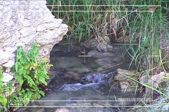 Product picture Royalty Free Stock Footage: Stream: NL00539