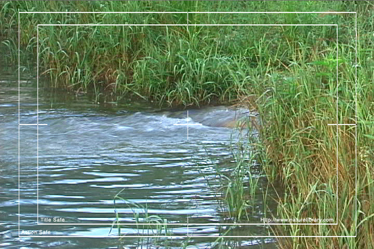 Product picture Royalty Free Stock Footage: Stream: NL00542