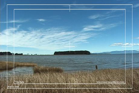 Product picture Royalty Free Stock Footage: New Zealand: NL00566