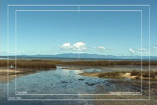 Product picture Royalty Free Stock Footage: New Zealand: NL00570