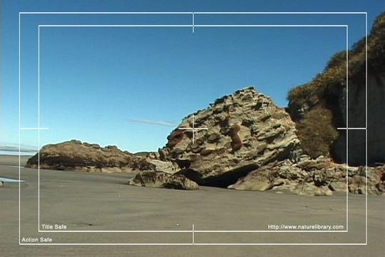 Product picture Royalty Free Stock Footage: New Zealand: NL00572