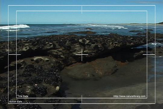 Product picture Royalty Free Stock Footage : New Zealand : NL00576