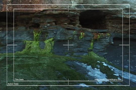 Product picture Royalty Free Stock Footage : New Zealand : NL00577