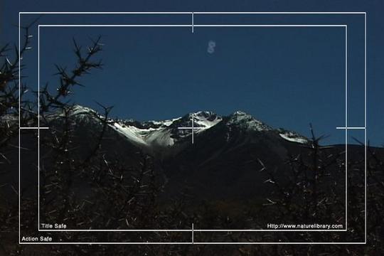 Product picture Royalty Free Stock Footage : New Zealand : NL00592