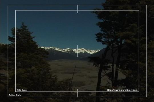 Product picture Royalty Free Stock Footage : New Zealand : NL00595