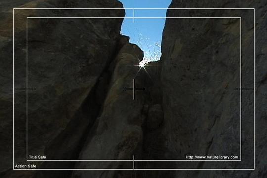 Product picture Royalty Free Stock Footage : New Zealand : NL00603