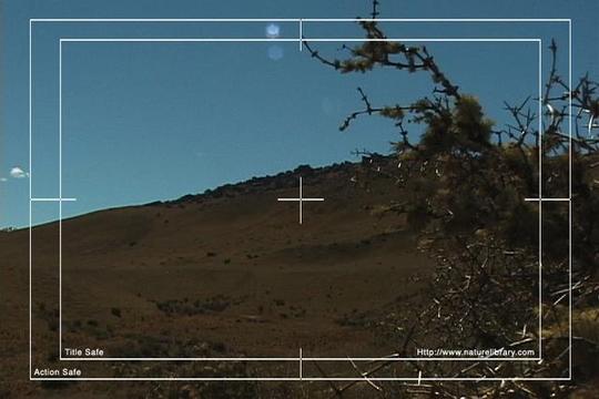 Product picture Royalty Free Stock Footage : New Zealand : NL00605