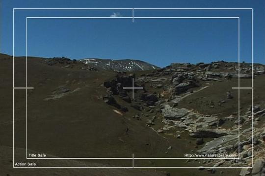 Product picture Royalty Free Stock Footage : New Zealand : NL00610