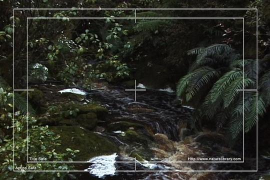 Product picture Royalty Free Stock Footage: New Zealand: NL00624