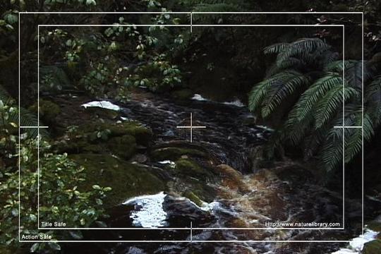 Product picture Royalty Free Stock Footage : New Zealand : NL00625